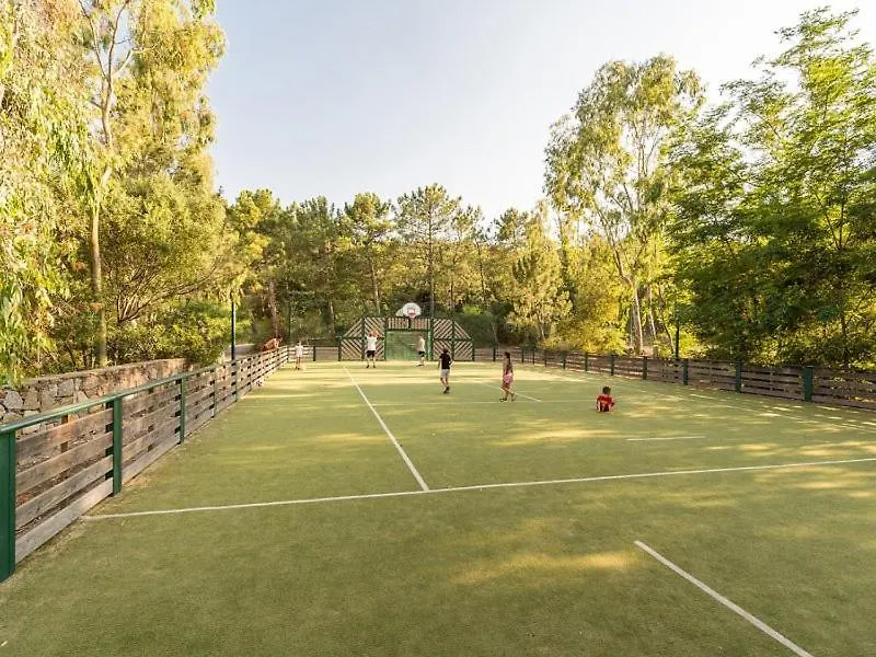 Les Restanques 21 Pins 7Pers Villa Grimaud 0*,
